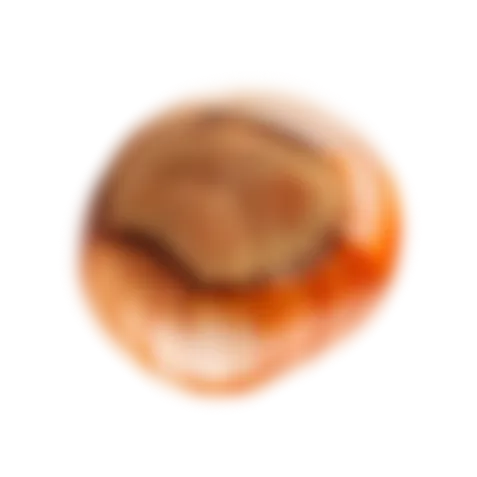 nut1