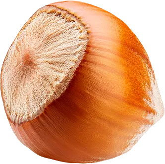 nut2