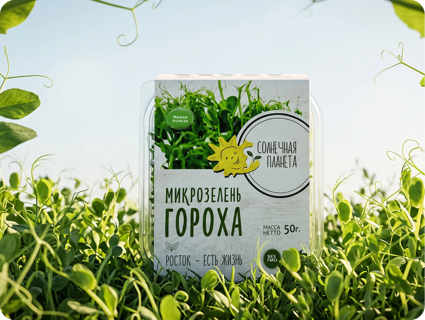 Микрозелень